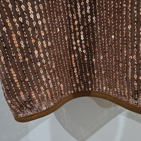 Womens Blouse 3XL Plus Brown Gold Sequin Mesh Striped V-Neck Short Sleeve - Picture 4 of 6